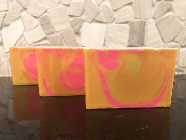 craft beer soaps handmade in indiana with fruit basket slushy xl craft beer from 450 north brewing company spunkndisorderly craft beer