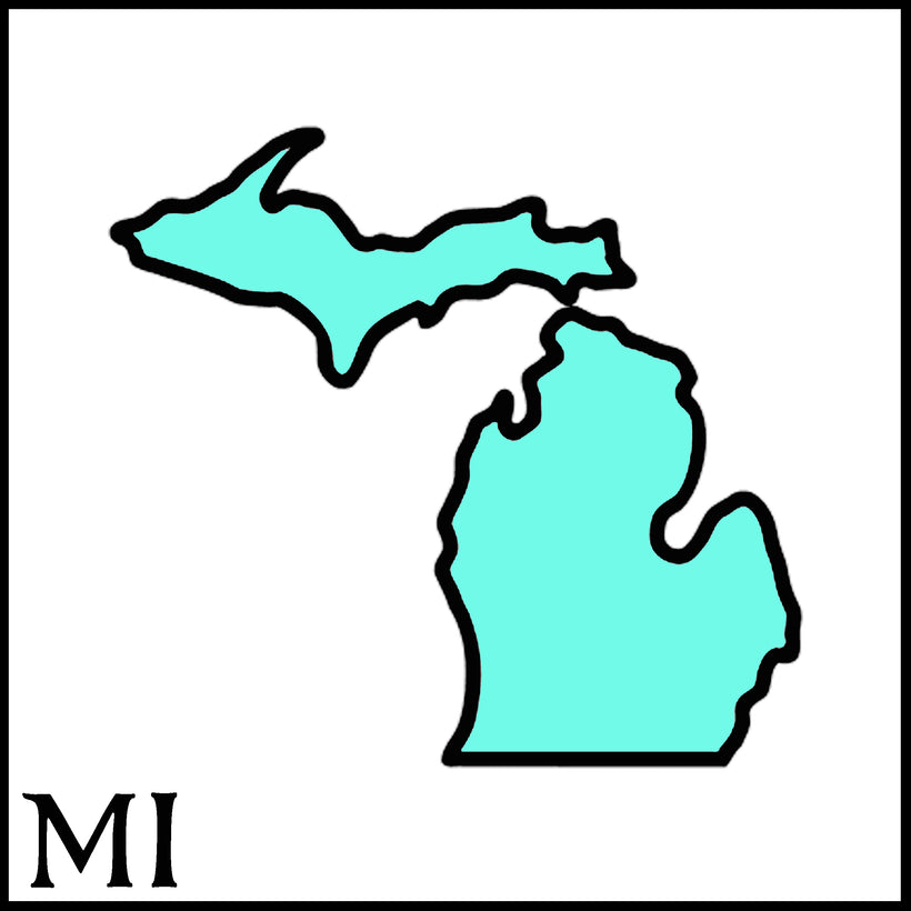 Michigan Craft Beer Soaps