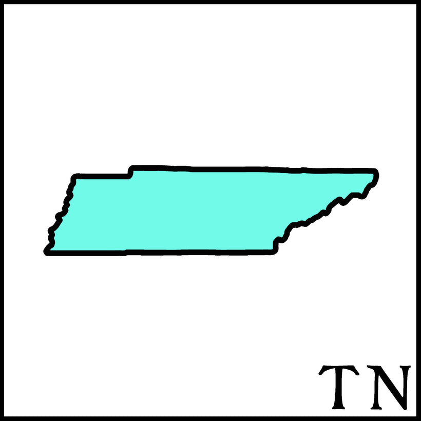 Tennessee Craft Beer Soaps