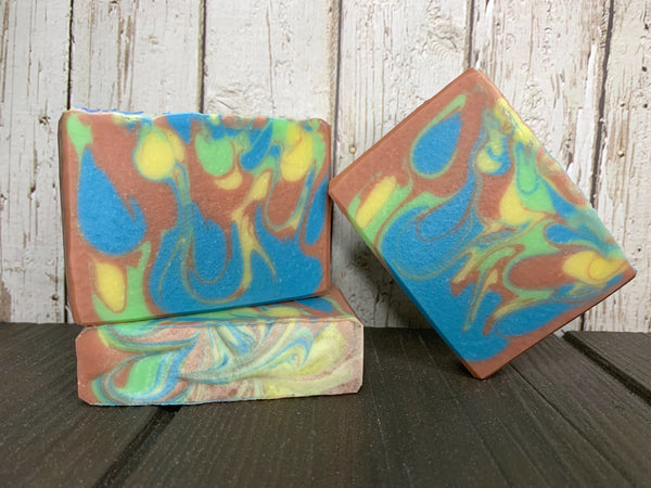 craft beer soap for him cold process beer soap for sale handcrafted in TEXAS with texas craft beer from viva brewery blue red yellow and green beer soap by spunkndisorderly craft beer soaps 